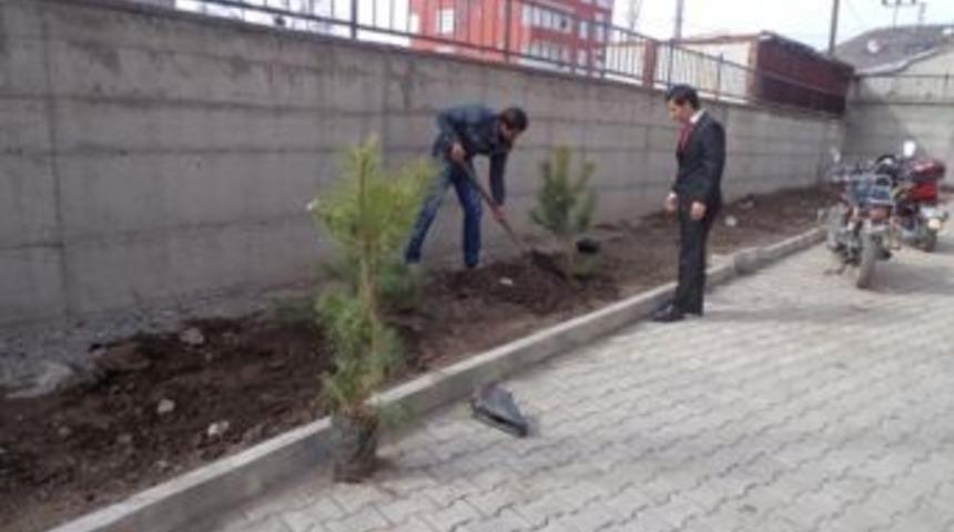 Kağızman Anadolu Lisesinde Fidan dikimi,