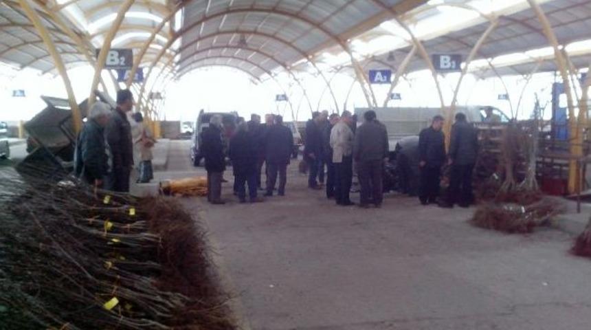 Gediz'de &Ccedil;ift&ccedil;ilere Bin 500 Adet Sertifikalı İthal Ceviz Ve Yarı Bodur Elma Fidanı Dağıtıldı