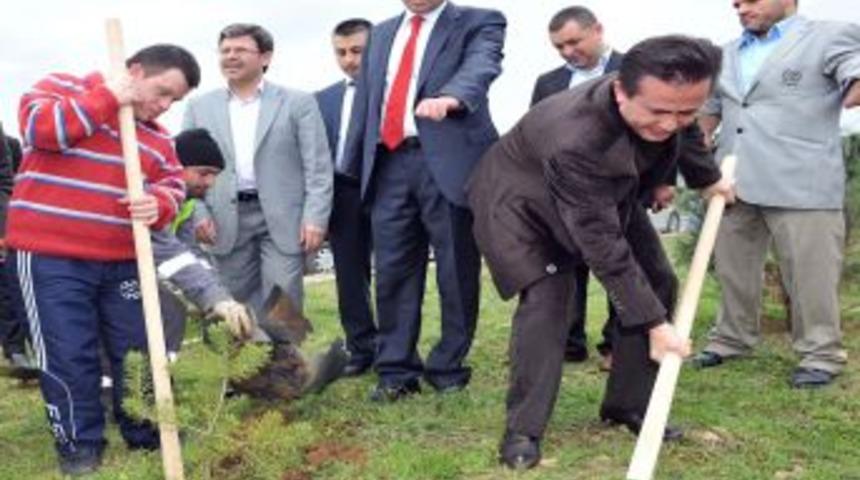 Engelli &Ouml;ğrenciler 500 &Ccedil;am Fidanı Dikti