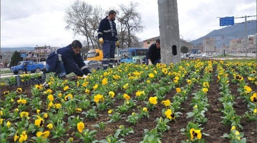Karab&uuml;k Belediyesi&rsquo;nden 100 Bin &Ccedil;i&ccedil;ek