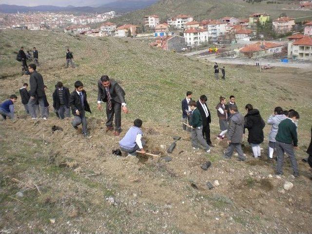 Protokol Ve Öğrenciler Şehitliğe Fidan Dikti