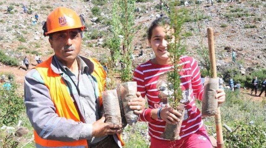 Yangında K&uuml;l Olan Ormana 2 Bin Fidan Dikildi