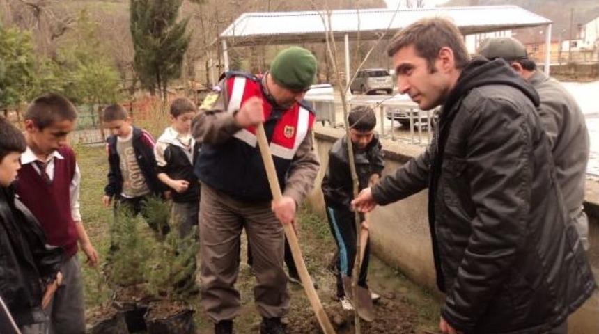 Ulus Zafer İlkokulu Bah&ccedil;esinde Fidanlar Toprakla Buluştu