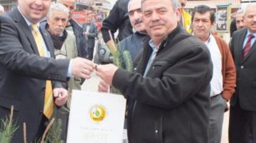 K&ouml;şk il&ccedil;esi fıstık &ccedil;amı dağıtımı ile projeye destek sağladı