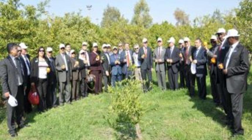 Mersin'in Tarım Potansiyeli Arap Diplomatları Etkiledi