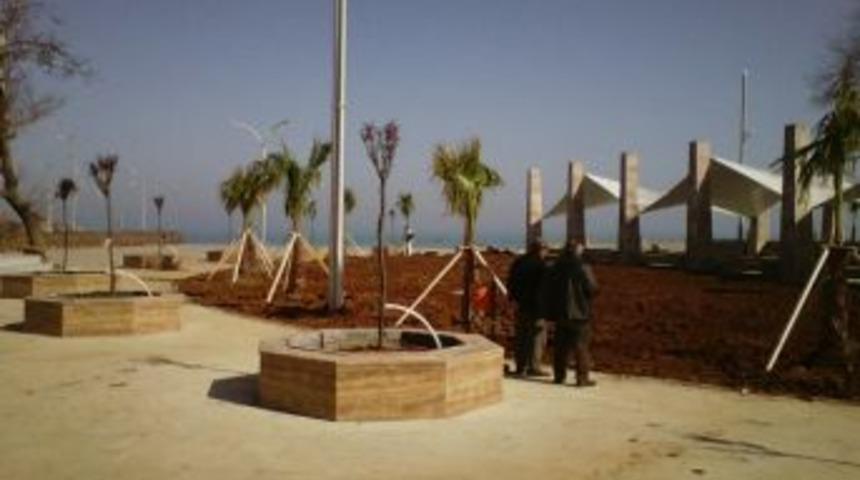 Ak&ccedil;akoca'da Ağa&ccedil;landırma &Ccedil;alışması Başladı