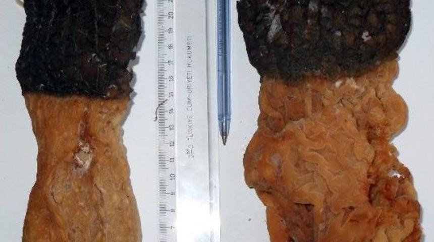 3 Kuzu G&ouml;beği 1,5 Kilo