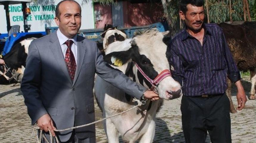 K&ouml;yl&uuml;lere Gebe D&uuml;ve Desteği