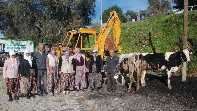 K&ouml;yl&uuml;lere Gebe D&uuml;ve Desteği 2
