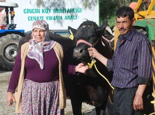 K&ouml;yl&uuml;lere Gebe D&uuml;ve Desteği 3