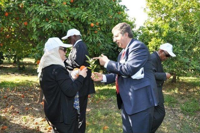 Arap Diplomatların Mersin Temasları