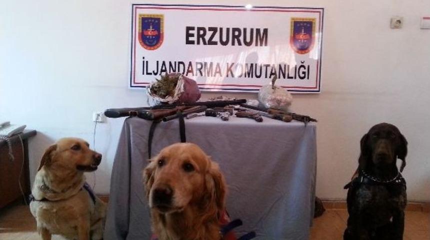 Erzurum'da Uyuşturucu Operasyonu