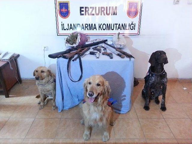 Erzurum da Uyuşturucu Operasyonu 3
