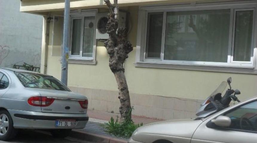 Tema&rsquo;dan Ağa&ccedil; Katliamına Tepki