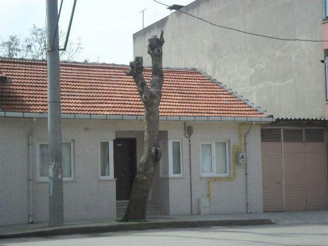 Tema&rsquo;dan Ağa&ccedil; Katliamına Tepki 3