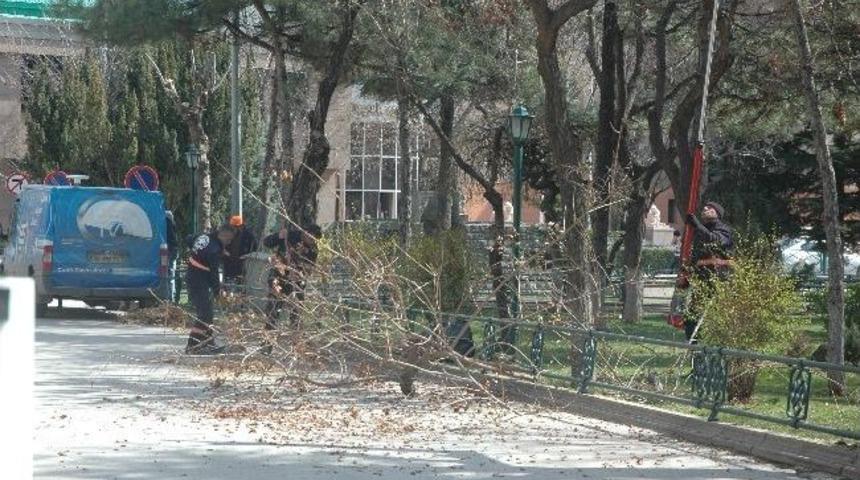 Eskişehir&rsquo;de Ağa&ccedil;lara Bahar Bakımı