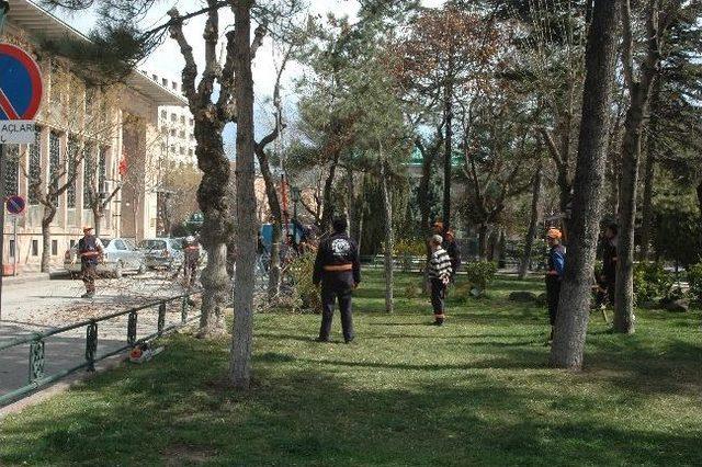 Eskişehir’de Ağaçlara Bahar Bakımı