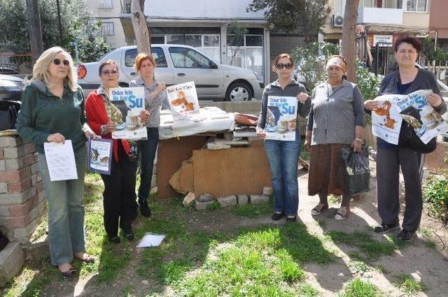 Belediyeden Kedi Kulübesi İstediler