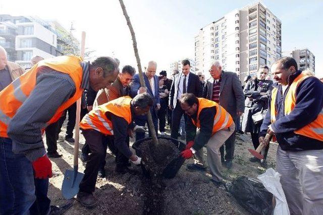 Yenimahalle’de 68’liler Hatıra Ormanı 1