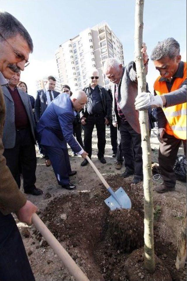 Yenimahalle’de 68’liler Hatıra Ormanı 2