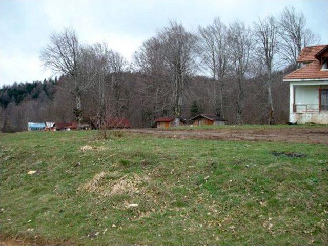 Orman Alanı Içindeki Yayla Evleri Için Vatandaş Kira Ödeyecek