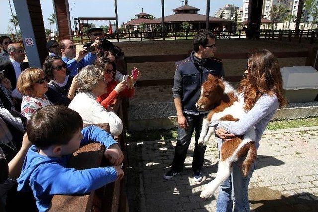 &ldquo;karşıyaka&rdquo;ya Kardeş Geldi 3