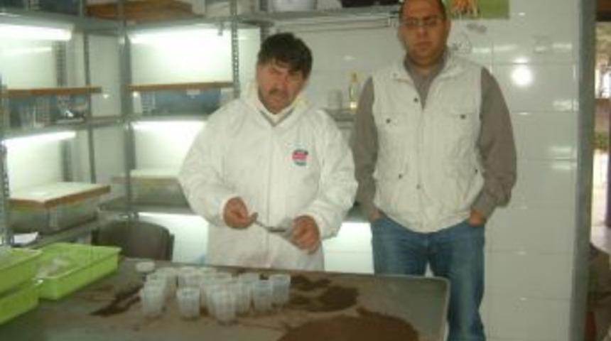 Zararlı B&ouml;ceğe Karşı B&ouml;cekli M&uuml;cadele