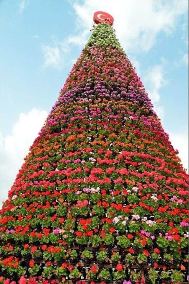 Çiçek Kulesinin Çiçekleri Yenilendi 2