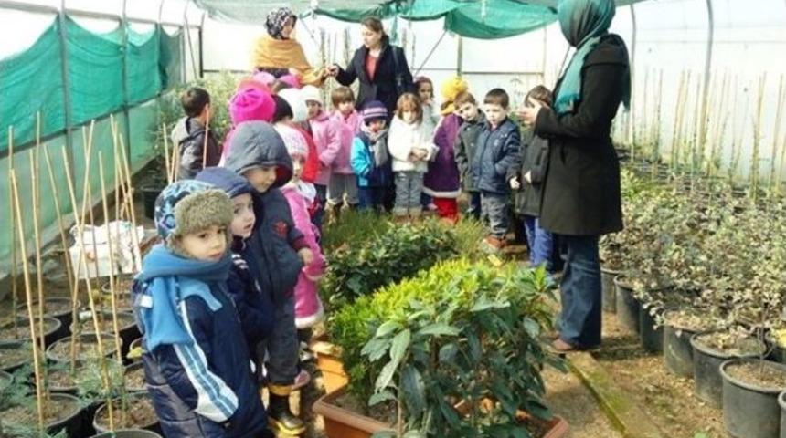 Minikler Bir Fidanın Nasıl Ağaca D&ouml;n&uuml;şt&uuml;ğ&uuml;n&uuml; &Ouml;ğrendi