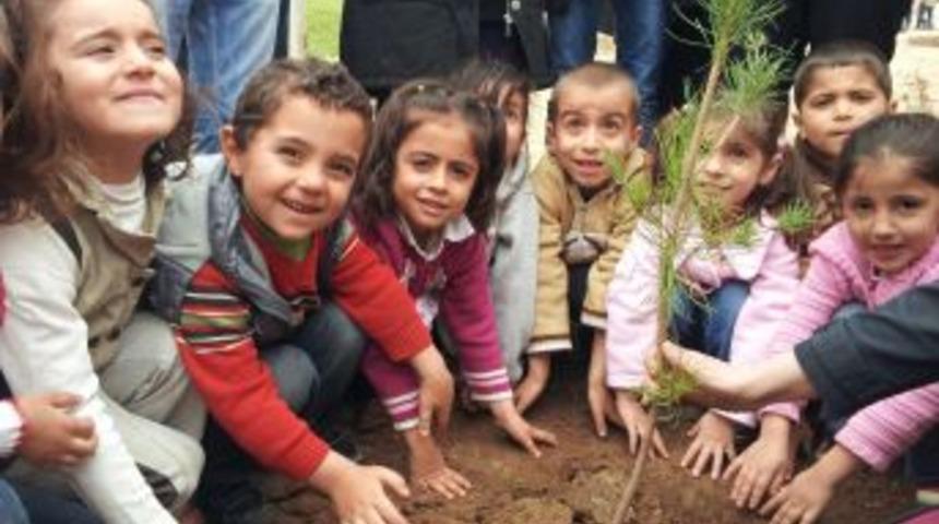 K&ouml;y Okullarını Ağa&ccedil;landırdılar