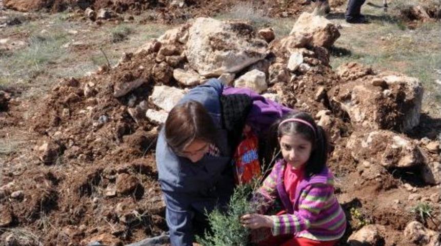 Umut-Der &Uuml;yesi Kadınlar Fidanları Toprakla Buluşturdu