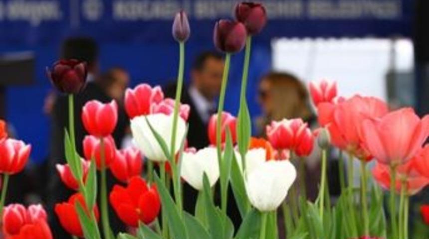 Lale Festivali 7 Nisan&rsquo;da Sekapark&rsquo;ta