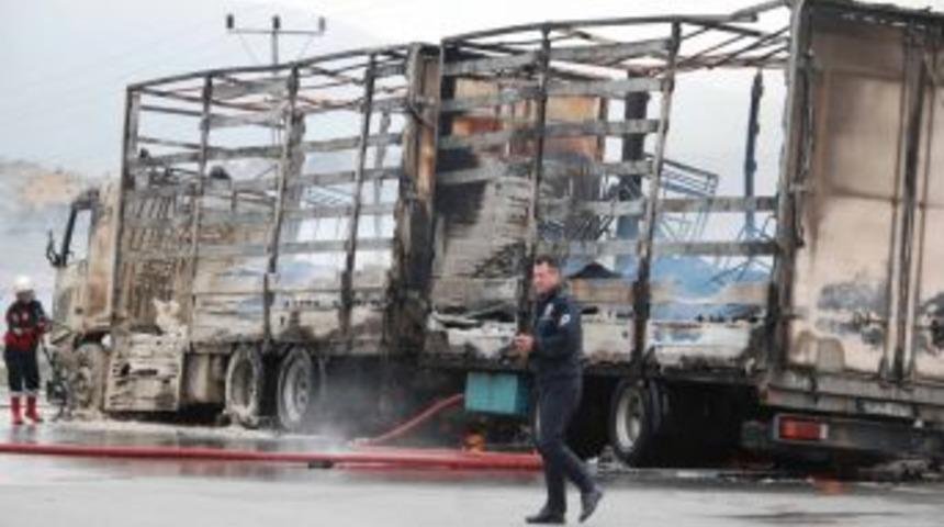 Mobilya Y&uuml;kl&uuml; TIR Otobanda Alev Alev Yandı