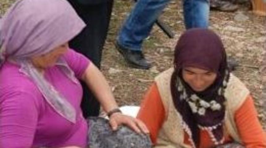 D&ouml;şemealtı Kovanlık&rsquo;ta Y&ouml;resel &Uuml;r&uuml;n Pazarı