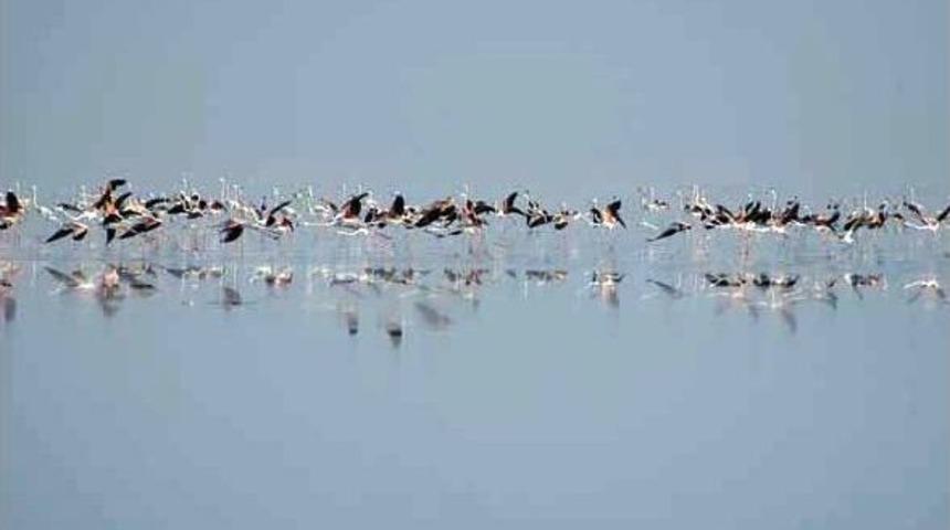 Tuz G&ouml;l&uuml;&rsquo;n&uuml;n Biyolojik &Ccedil;eşitlilik Karış Karış Tespit Edildi