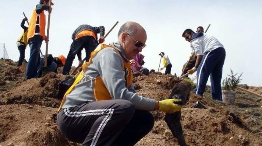 Tema'dan G&ouml;m&uuml;rgen'e 2250 Fidan