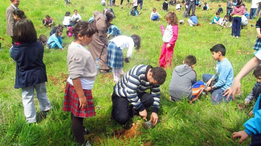 Sema Koleji &Ouml;ğretmen Ve &Ouml;ğrencileri Fidan Dikti