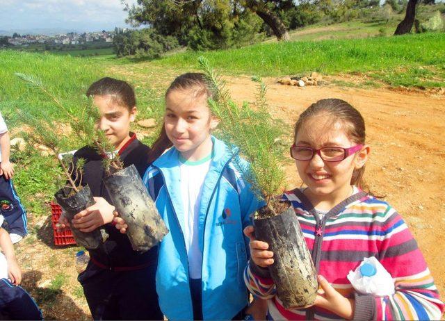 Sema Koleji Öğretmen Ve Öğrencileri Fidan Dikti