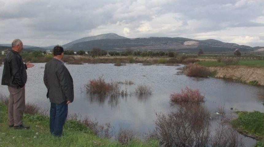 Tarlaydı G&ouml;l Oldu