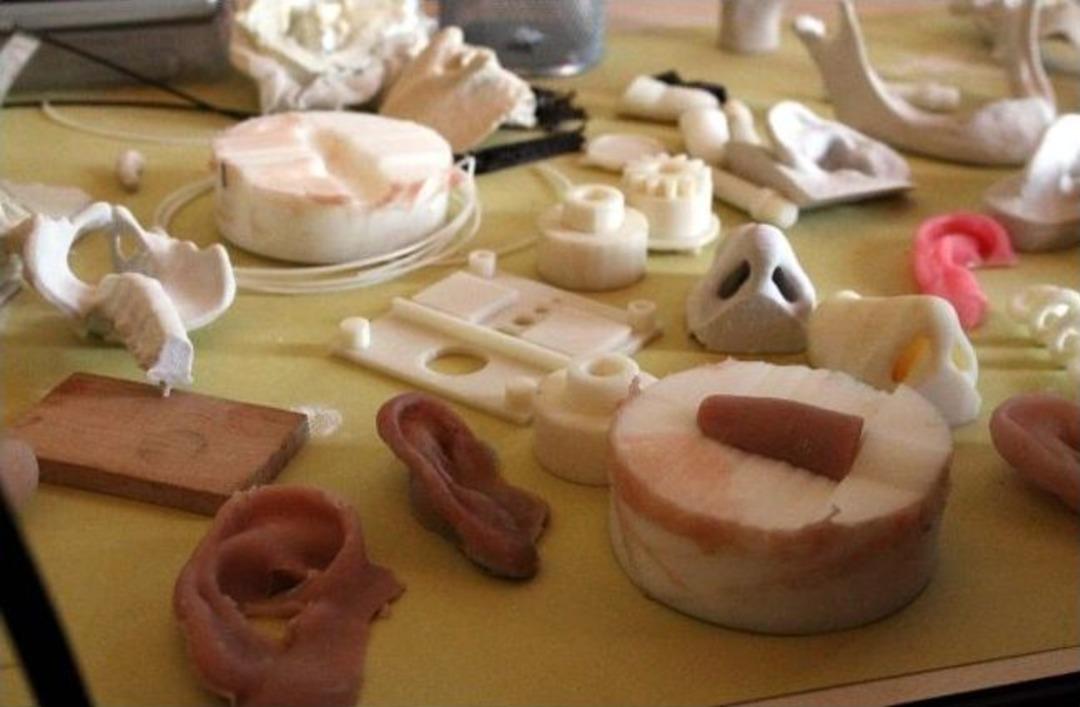 Lise &Ouml;ğrencilerinden Protez Kulak Ve Burun