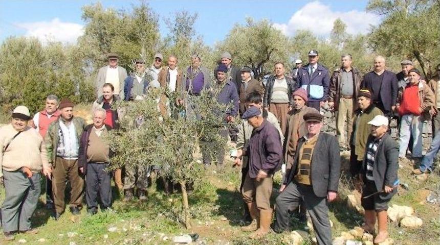 Muğla&rsquo;da Ağa&ccedil; Budama Kursu