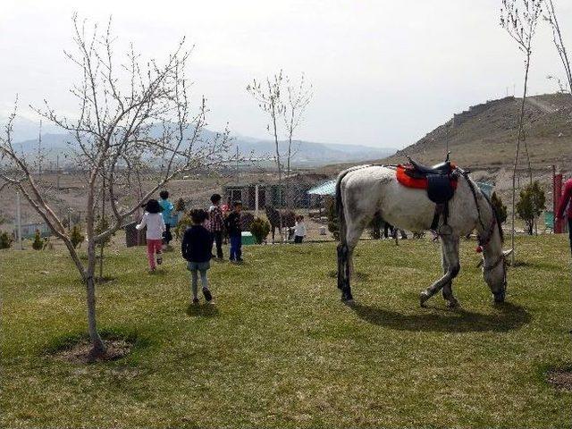 Kayseri Odtü Koleji Tanıtım Günü'ne Yoğun İlgi