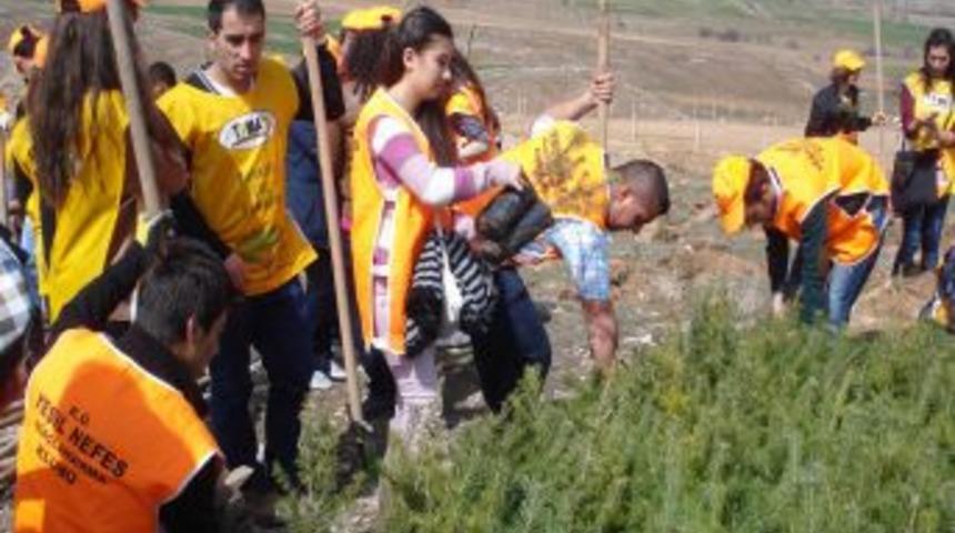 40 Kişinin Karbondioksitini Bir &Ccedil;am Ağacı Oksijene D&ouml;n&uuml;şt&uuml;r&uuml;yor