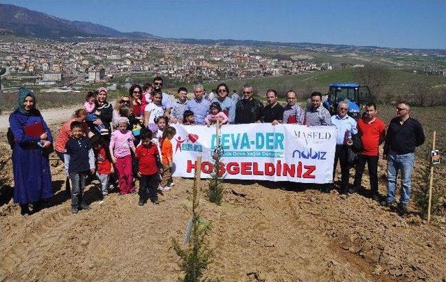 Devader Üyelerinden Kbü’de Ağaç Dikimi Etkinliği