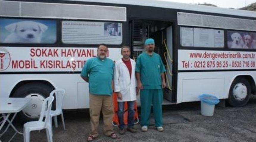 Sokak Hayvanları Kısırlaştırılıyor