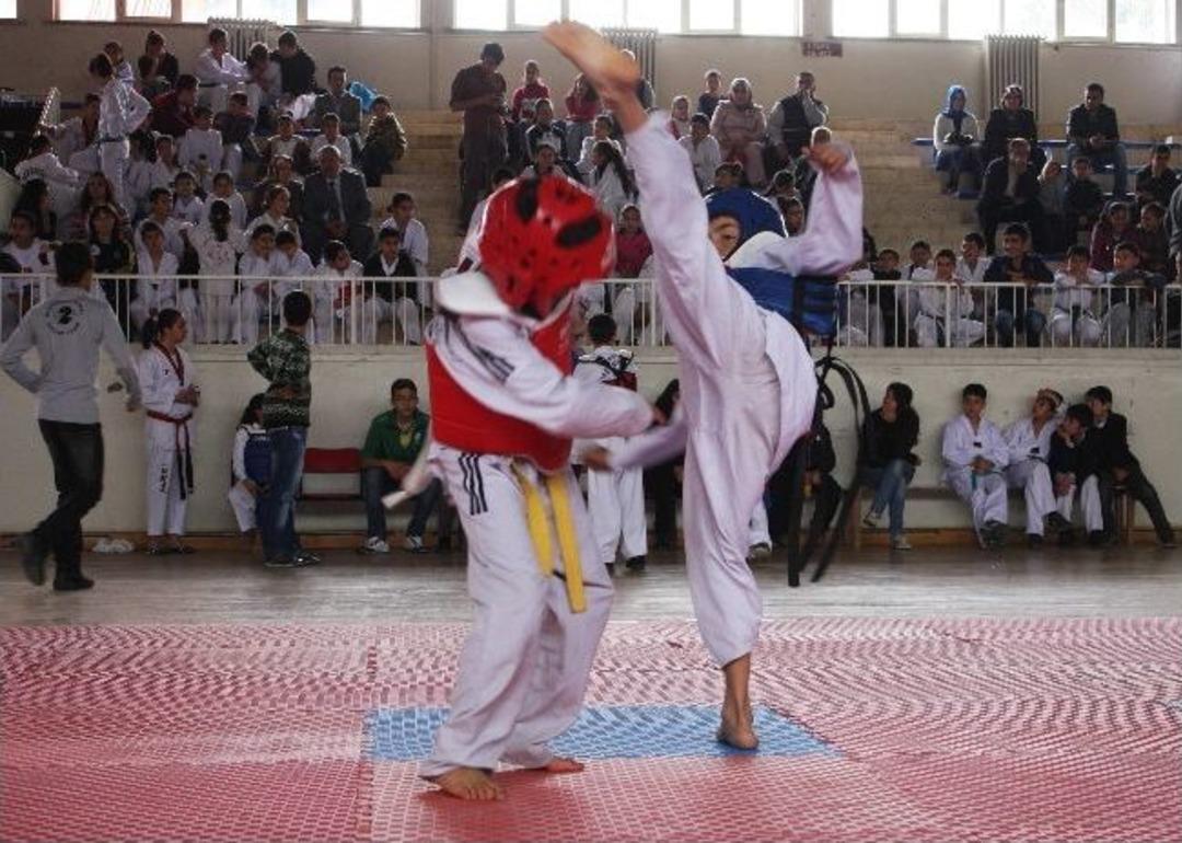 Oğuzelinde Tekwando G&ouml;sterisi