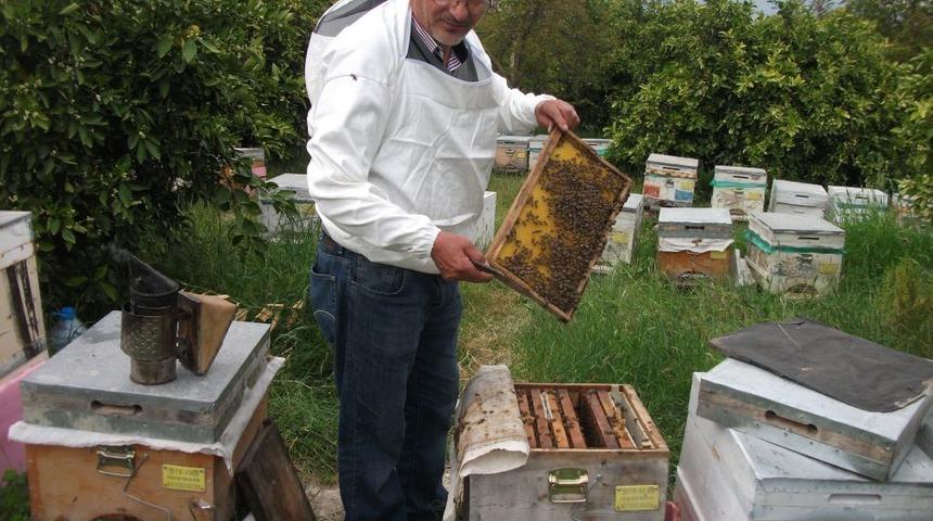 Eşine Şifa Ararken Gezgin Arıcı Oldu