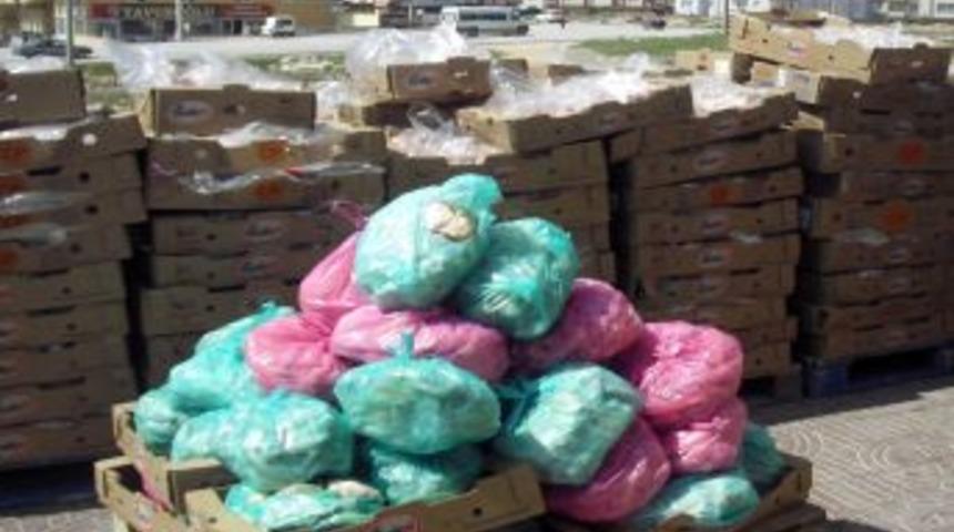 Zabıta Ekipleri Kullanım Tarihi Ge&ccedil;miş &Uuml;r&uuml;nlere El Koydu