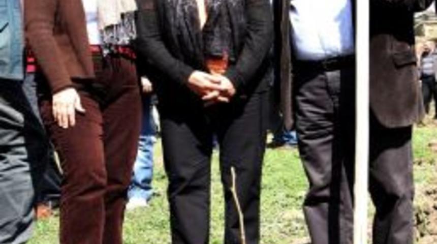 Selvi Kılı&ccedil;daroğlu, Selvi Fidanı Dikti