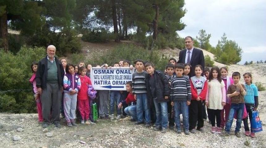 -&ouml;ğrenciler Hatıra Ormanı'na 500 Adet Fidan Dikti